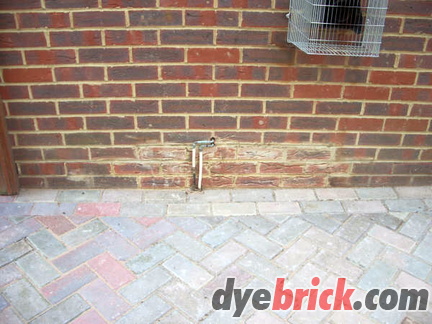 Before Dyebrick 1